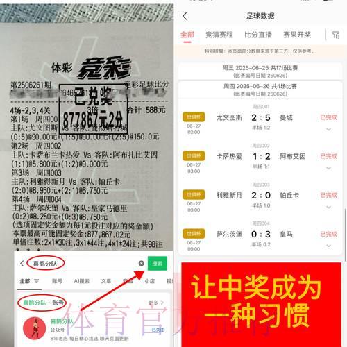 世界杯竞猜热潮:私下投注方式与网络下注趋势深度解读 世界杯竞猜热潮:私下投注方式与网络下注趋势深度解读